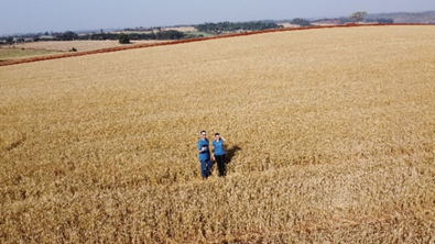 Projeto Primeiro de Maio - Campo 1