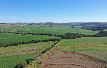 Projeto Primeiro de Maio - Campo 2