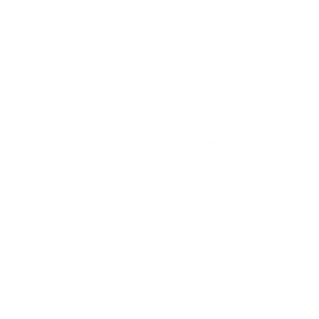 Logo Soil